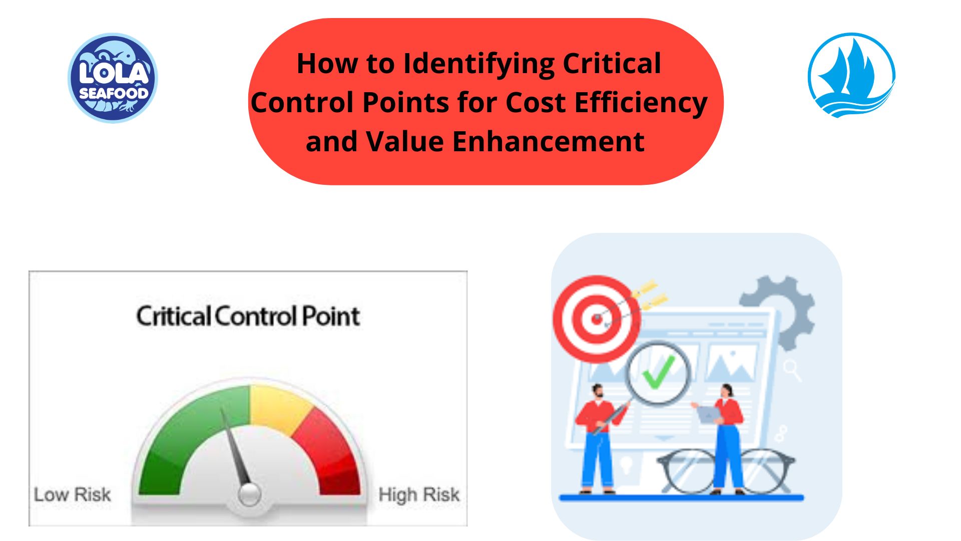 How to Identifying Critical Control Points for Cost Efficiency and Value Enhancement 